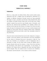 The Novel (EnLa2063).doc